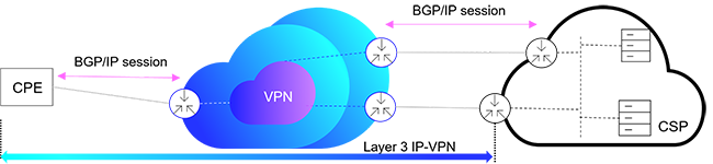 Infographic of CPE, VPN and CSP